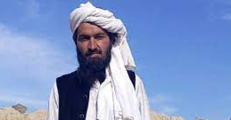 چلغوزے کے باغات کے مالک نصیب خان افغانستان