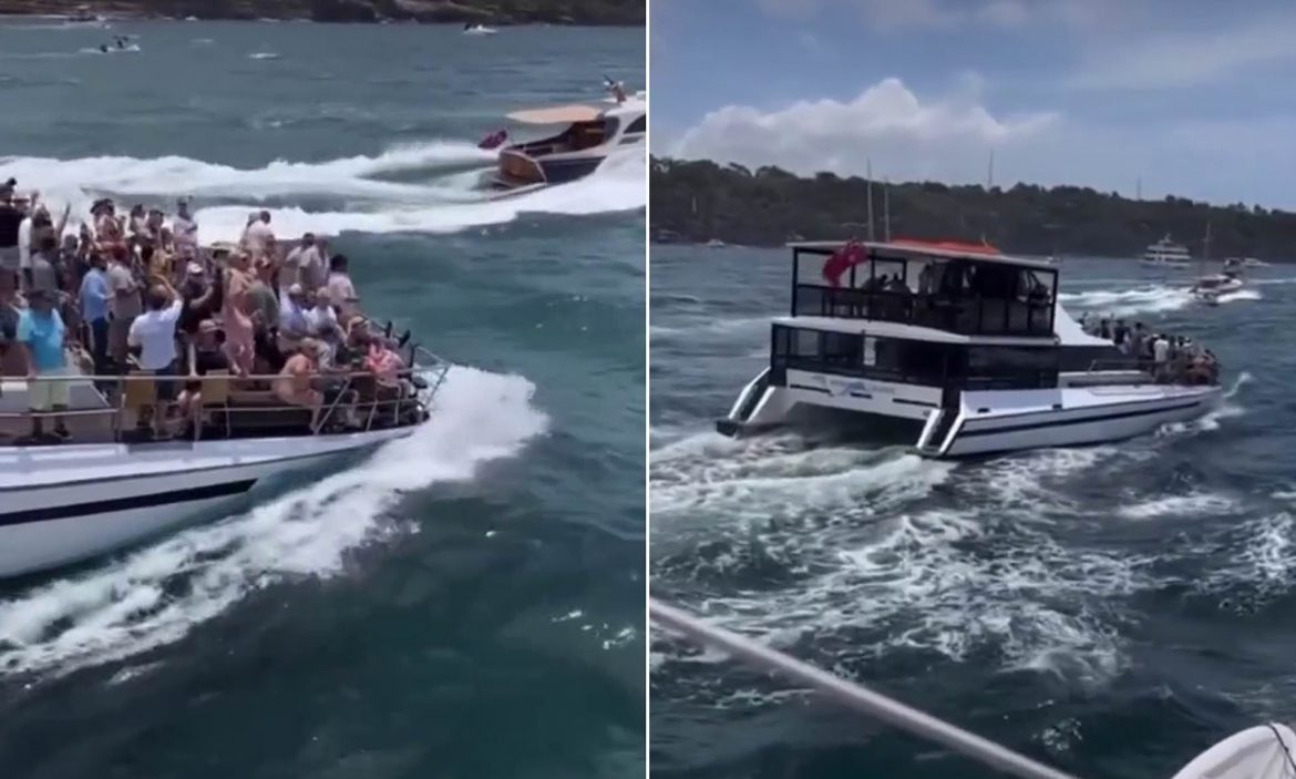 Sydney Habour boat party under investigation