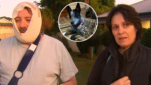 Beloved rescue dog shot dead after attacking