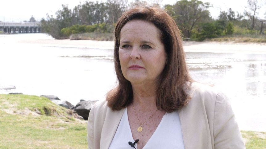 NSW Labor MP Anna Watson denies