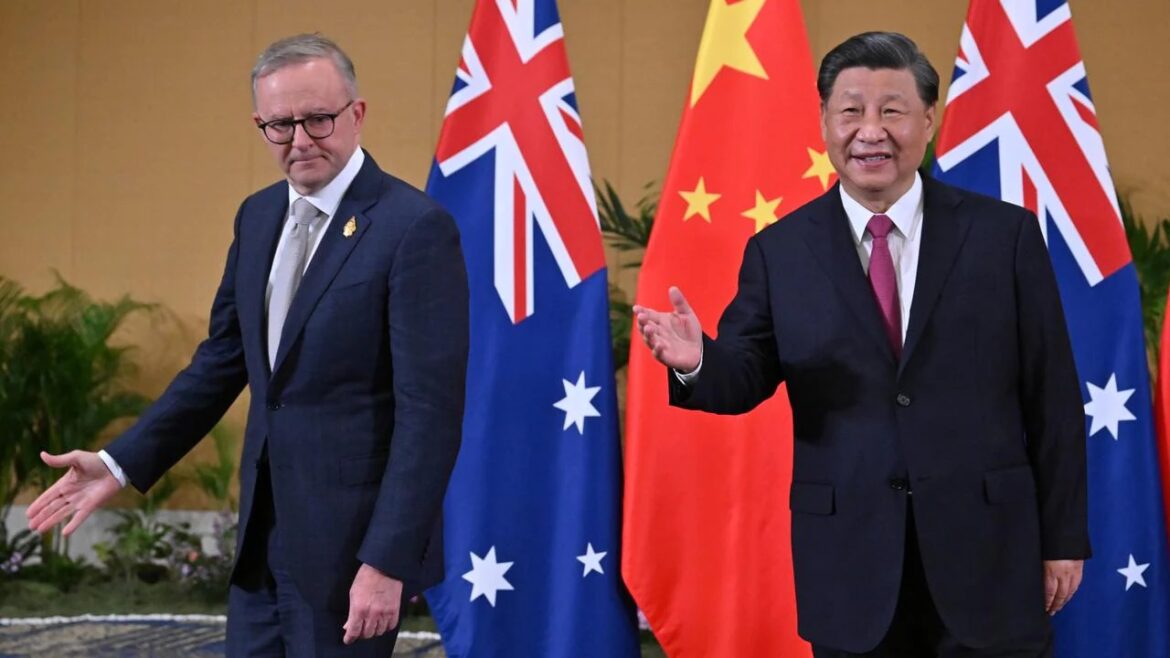 Anthony Albanese and Chinese