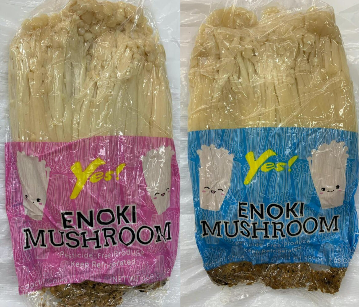 Mushrooms sold in NSW Queensland