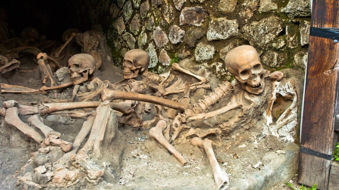 Remains of three new Pompeii victims